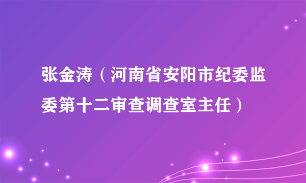 张金涛（河南省安阳市纪委监委第十二审查调查室主任）