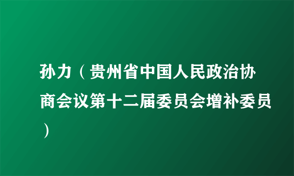 孙力（贵州省中国人民政治协商会议第十二届委员会增补委员）