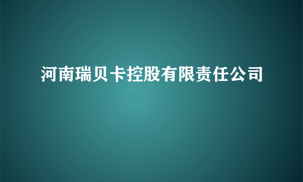 河南瑞贝卡控股有限责任公司