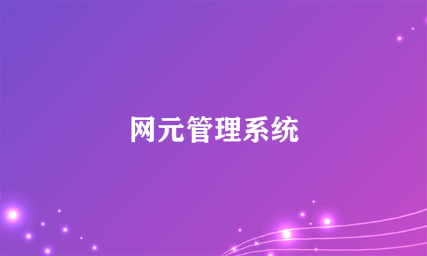 网元管理系统