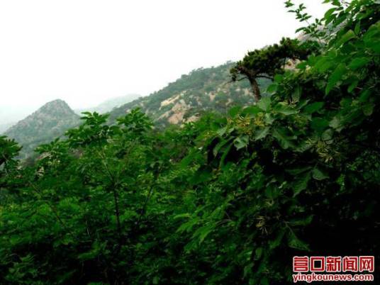 青龙山风景区（湖北黄石青龙山风景区）