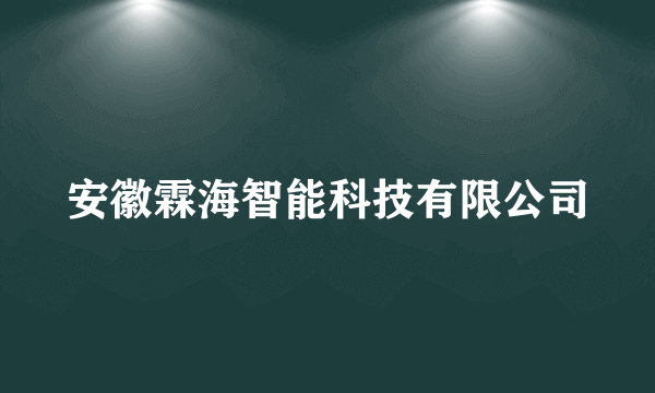 安徽霖海智能科技有限公司