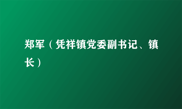 郑军（凭祥镇党委副书记、镇长）