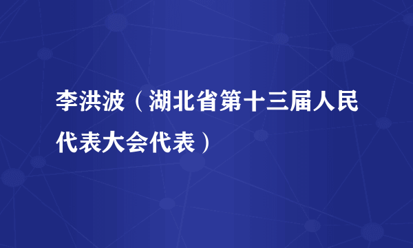 李洪波（湖北省第十三届人民代表大会代表）