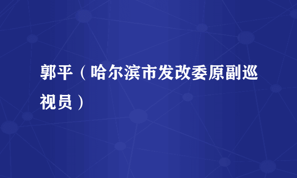 郭平（哈尔滨市发改委原副巡视员）