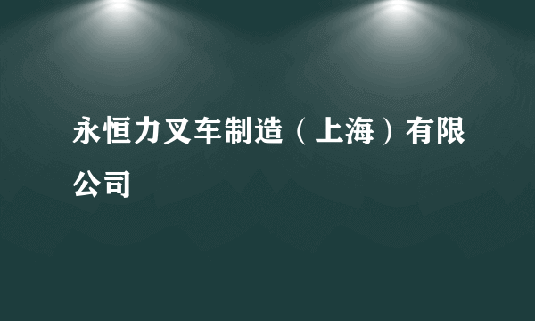 永恒力叉车制造（上海）有限公司