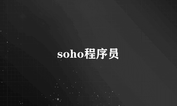 soho程序员