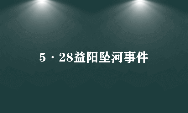 5·28益阳坠河事件