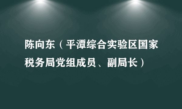 陈向东（平潭综合实验区国家税务局党组成员、副局长）