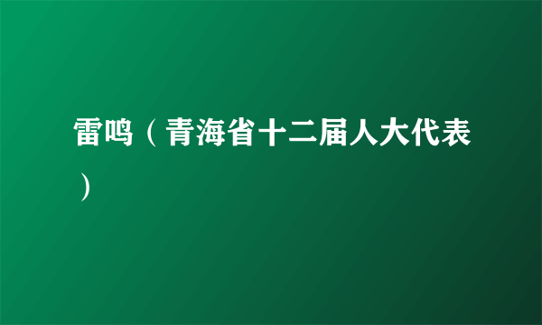 雷鸣（青海省十二届人大代表）