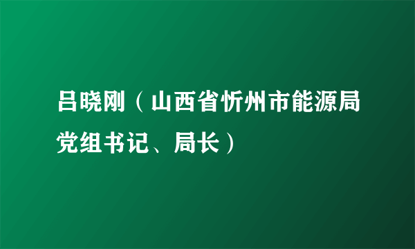 吕晓刚（山西省忻州市能源局党组书记、局长）