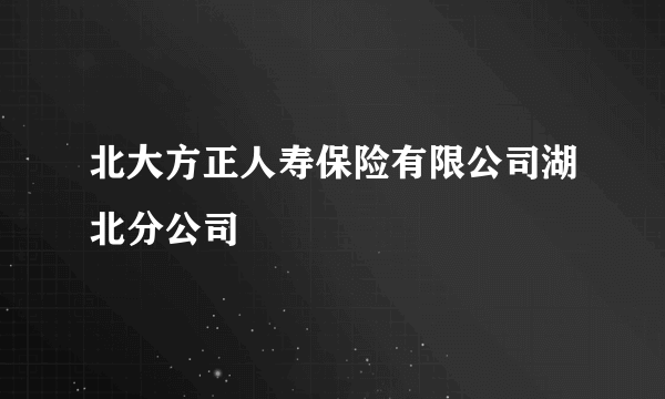 北大方正人寿保险有限公司湖北分公司