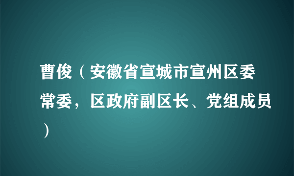 曹俊（安徽省宣城市宣州区委常委，区政府副区长、党组成员）