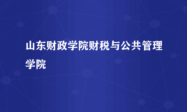 山东财政学院财税与公共管理学院