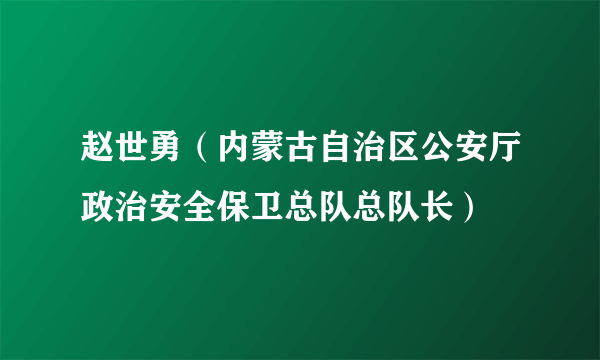 赵世勇（内蒙古自治区公安厅政治安全保卫总队总队长）