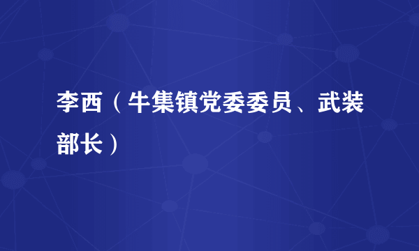 李西（牛集镇党委委员、武装部长）