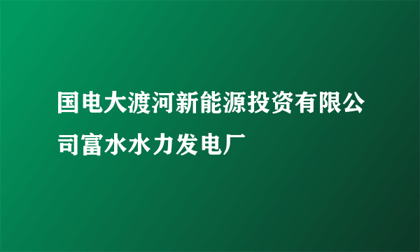 国电大渡河新能源投资有限公司富水水力发电厂