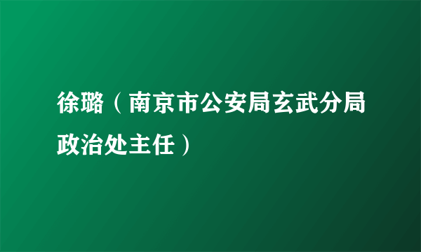 徐璐（南京市公安局玄武分局政治处主任）