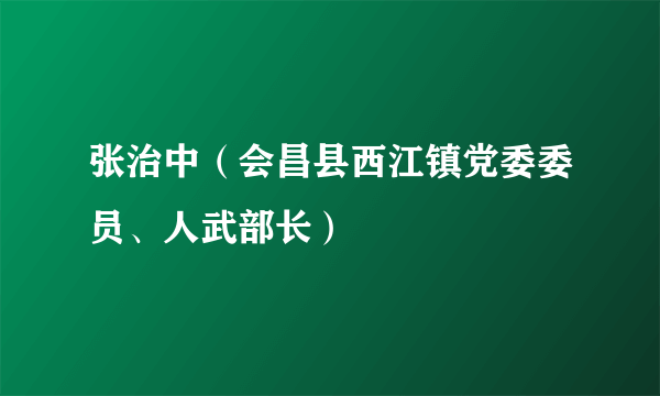 张治中（会昌县西江镇党委委员、人武部长）