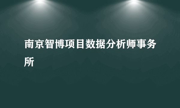 南京智博项目数据分析师事务所