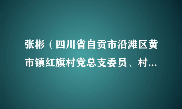 张彬（四川省自贡市沿滩区黄市镇红旗村党总支委员、村委会副主任）