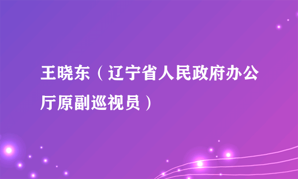 王晓东（辽宁省人民政府办公厅原副巡视员）