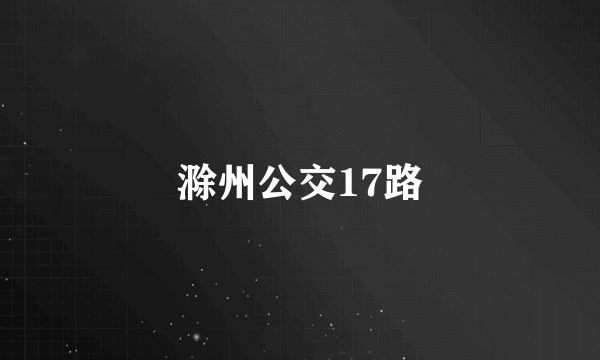 滁州公交17路