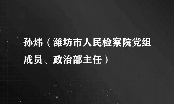 孙炜（潍坊市人民检察院党组成员、政治部主任）