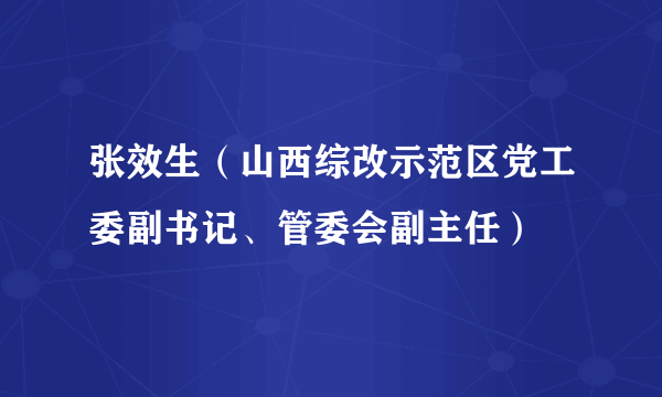 张效生（山西综改示范区党工委副书记、管委会副主任）