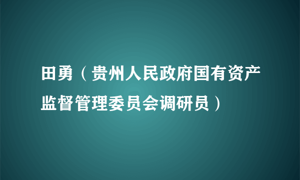 田勇（贵州人民政府国有资产监督管理委员会调研员）