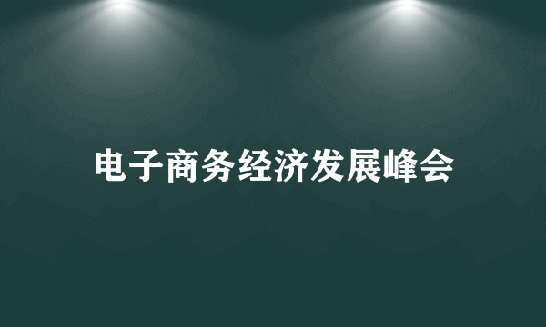 电子商务经济发展峰会