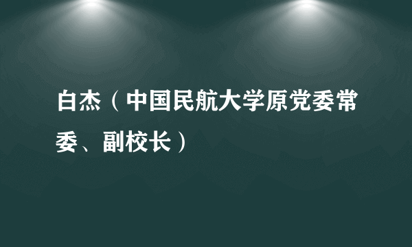 白杰（中国民航大学原党委常委、副校长）