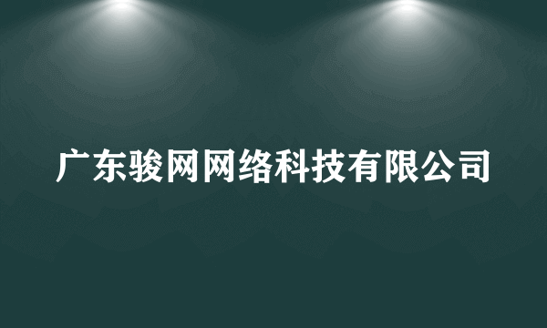 广东骏网网络科技有限公司