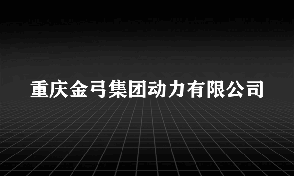 重庆金弓集团动力有限公司