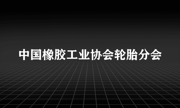 中国橡胶工业协会轮胎分会