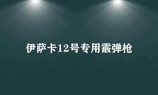 伊萨卡12号专用霰弹枪