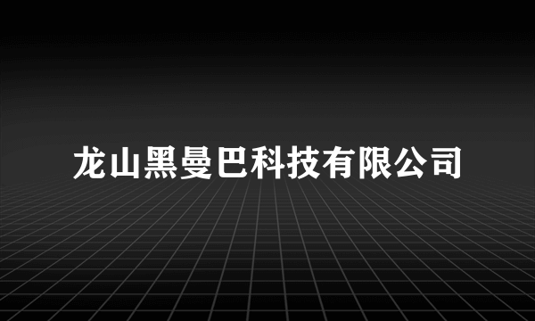 龙山黑曼巴科技有限公司