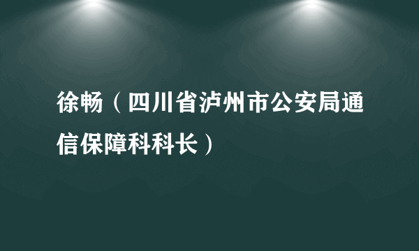 徐畅（四川省泸州市公安局通信保障科科长）