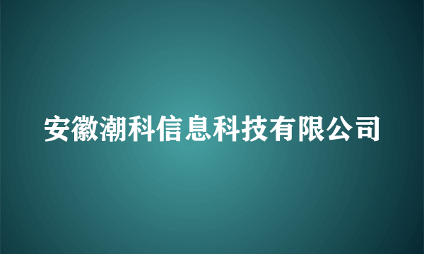 安徽潮科信息科技有限公司