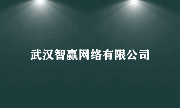 武汉智赢网络有限公司