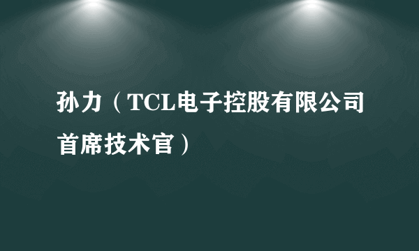 孙力（TCL电子控股有限公司首席技术官）