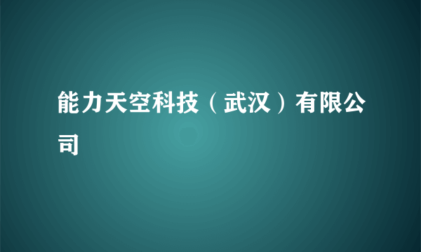 能力天空科技（武汉）有限公司