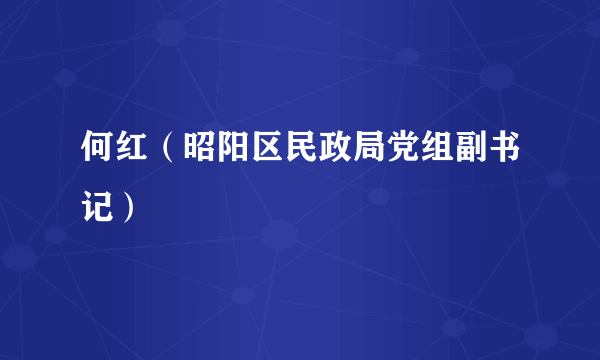 何红（昭阳区民政局党组副书记）