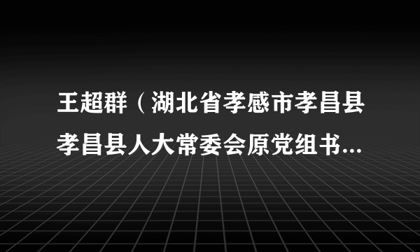 王超群（湖北省孝感市孝昌县孝昌县人大常委会原党组书记、主任）