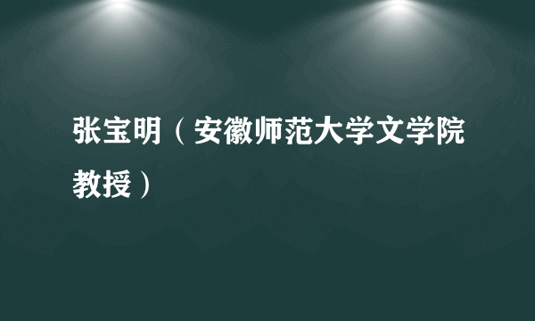 张宝明（安徽师范大学文学院教授）