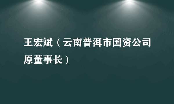 王宏斌（云南普洱市国资公司原董事长）