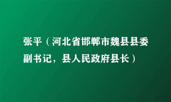 张平（河北省邯郸市魏县县委副书记，县人民政府县长）