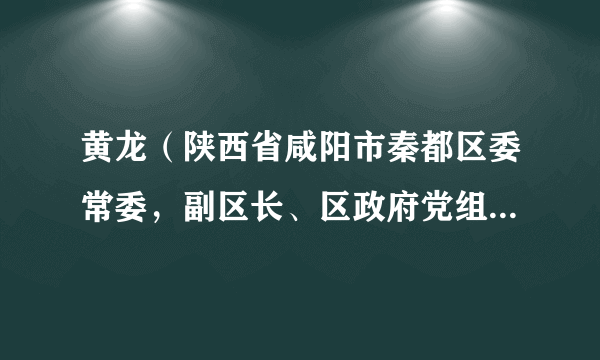 黄龙（陕西省咸阳市秦都区委常委，副区长、区政府党组副书记）