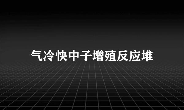 气冷快中子增殖反应堆