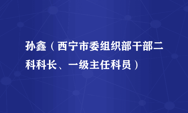 孙鑫（西宁市委组织部干部二科科长、一级主任科员）